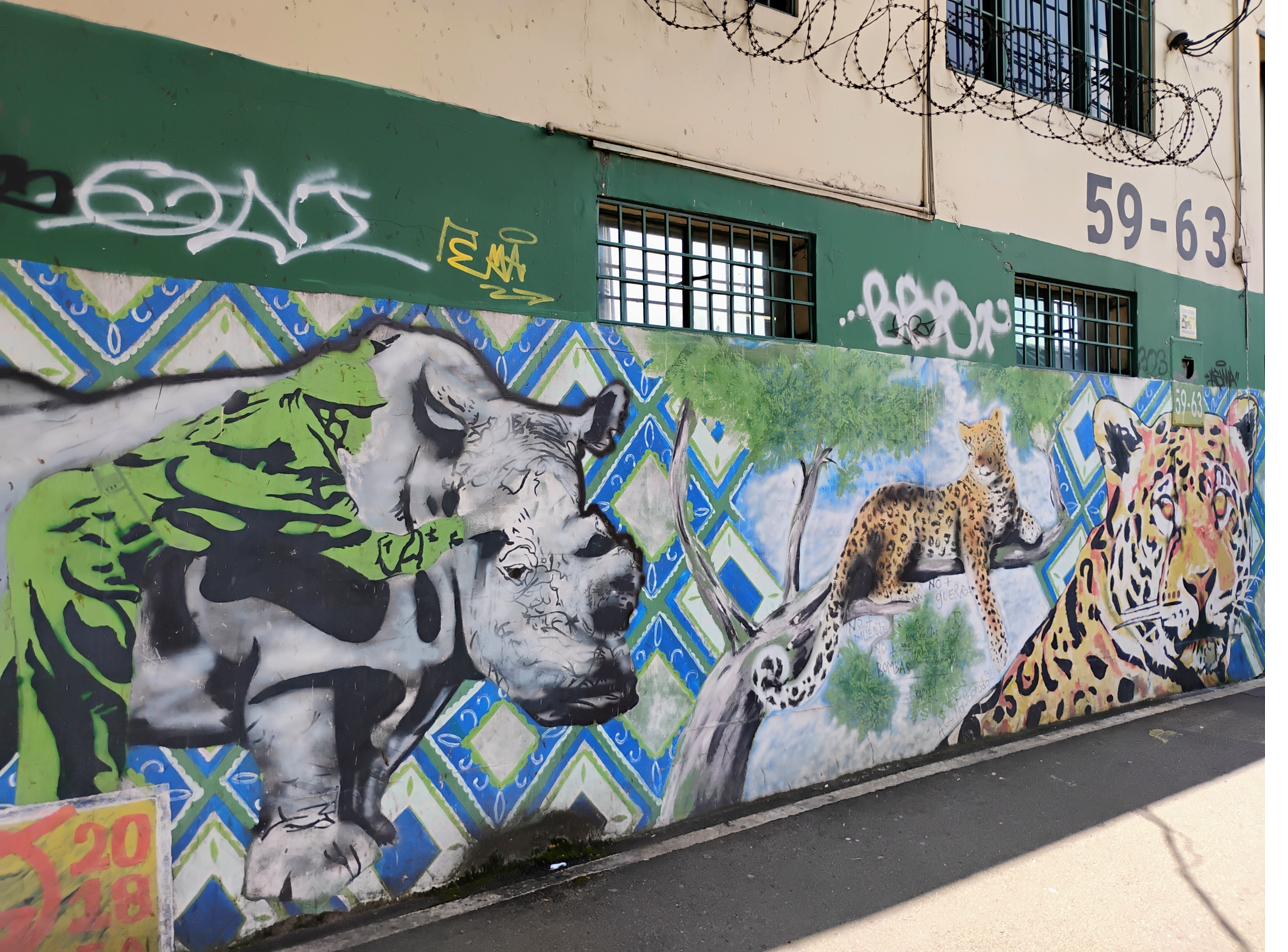 Wildlife mural — rhino and jaguar